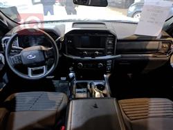 فۆرد F-150